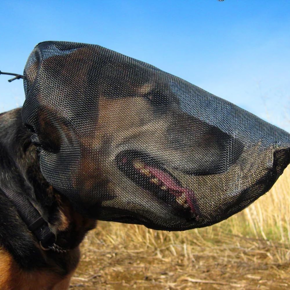 Mesh Dog Mask Adjustable Insec - огляд і ціна Outdoor Adventure Walks