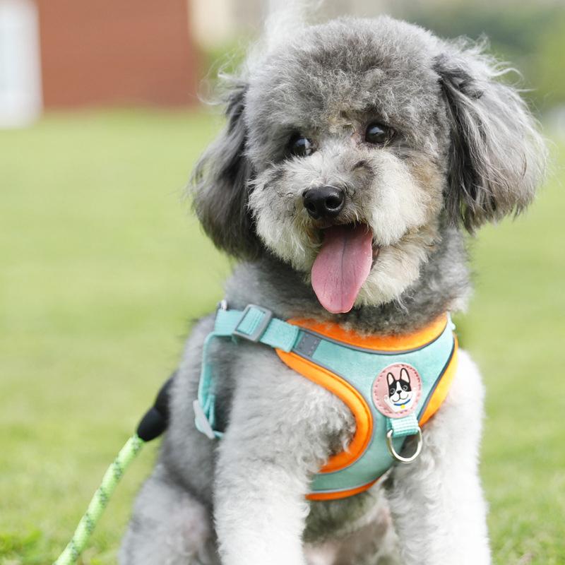 Lightweight Adjustable Dog Har - огляд і ціна Outdoor Adventure Walks